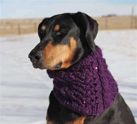 Buy Hand Knitted Snood For Dog Winter Snood For Dog With Pretty Online