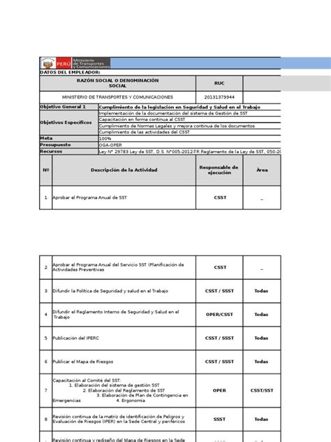 Programa Anual De Seguridad Y Salud En El Trabajo Seguridad Y Salud