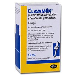 Goodpet natural vitamin c & zinc eye drops for dogs & cats. Clavamox Drops for Cats and Dogs - HeartlandVetSupply.com