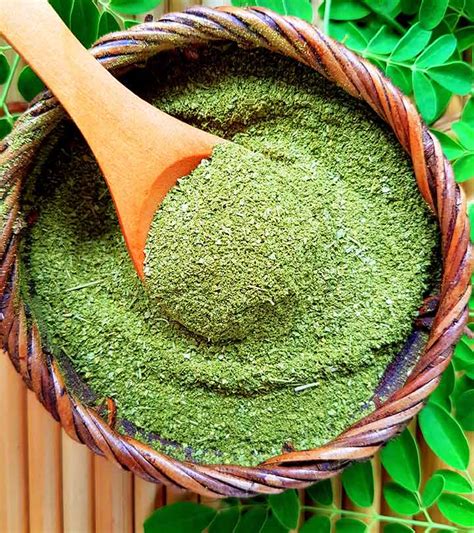 17 Best Benefits and Uses Of Moringa Powder gambar png