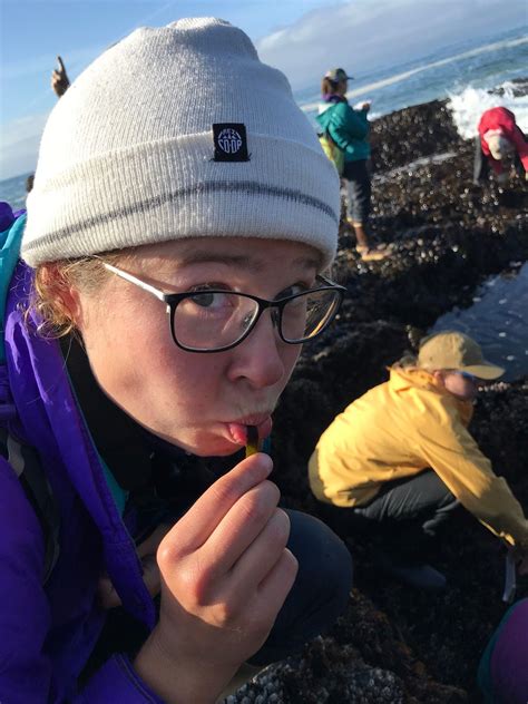Friday Harbor Labs A Marine Biology Students Dream Educational