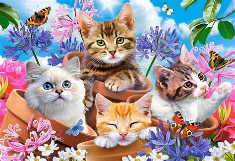 Kittens With Flowers Colors Cats Digital Blossoms Butterflies Hd