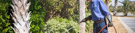 The coastal community of myrtle beach, sc, is a hotbed for mosquito infestations. Myrtle Beach Community Involvement - Pest Control ...