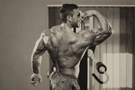 Bodybuilder Showing Perfect Biceps Stock Image Image Of Health