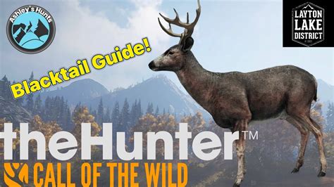 Blacktail Deer Guide For Layton Lakesthe Hunter Call Of The Wild