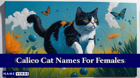 Calico Cat Names 299 Cool Names For Calico Cats