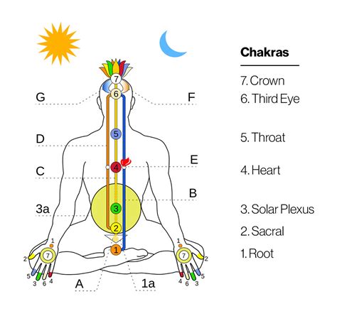 Energetic Anatomy A Guide To Your Bodys Energy Systems