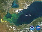 Perspectives on the Lake Erie HABs - NCCOS Intern Blog - NCCOS Coastal ...