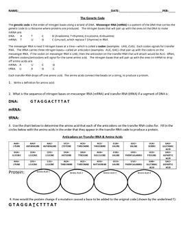 If a gene is heterozygous it will have two different alleles for the same gene, thus in case of monohybrid cross where only a single gene is considered maximum two alleles are under consideration. Genetics Blood Types Worksheet Answer Key - worksheet