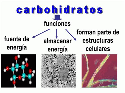 Estructura Química De Los Carbohidratos Cursos Online Web