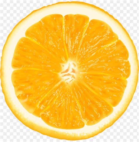 Free Download Hd Png Orange Slice Png Free Png Images Toppng