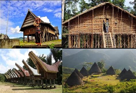 10 Contoh Gambar Gambar Rumah Adat Indonesia Dan Penjelasannya