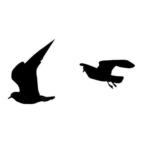 Gambar Siluet Burung Terbang Burung Burung Siluet Burung Burung Png