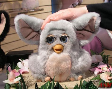 Categoryprototype 2005 Furbys Official Furby Wiki Fandom Powered