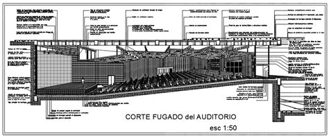 Architectural Section Auditorium Detail Dwg File Cadbull