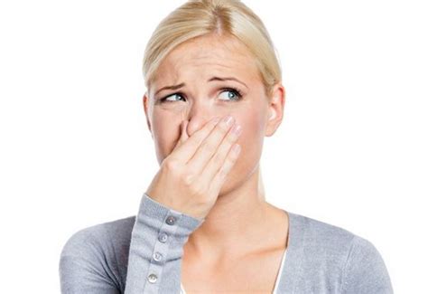Bad Smell From Nose Causes And Remedies For Bad Smell From Nose Hubpages