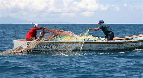 Agricultura Reanuda Actividades De Pesca En El País