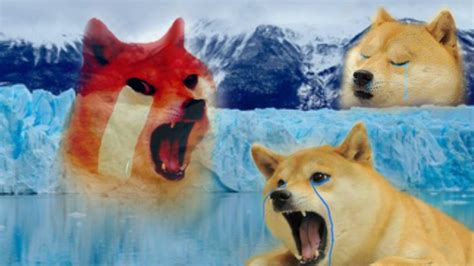 Crying Doge Compilation Blank Template Imgflip