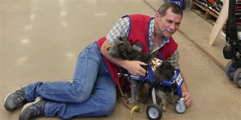 Lowes Employee Drops To The Ground The Moment He Sees Them Walk Into