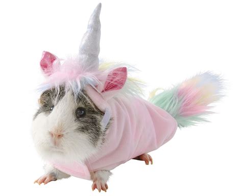 Petsmart Line Of Guinea Pig Halloween Costumes