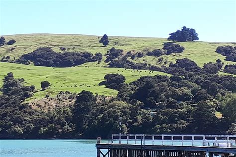 2024 Akaroa To Christchurch Full Day Private Excursion Tripadvisor