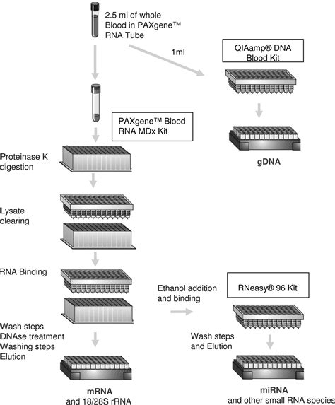 Isolation Of Microarray Grade Total Rna Microrna And Dna From A