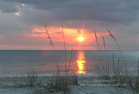 43 Florida Beach Scene Wallpaper Wallpapersafari