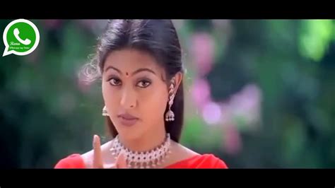 Yes, you can download whatsapp status photo or video easily. Cute Vijay ,Tamil whatsapp status video || whatsapp video ...