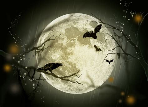 Halloween Holidays Mystery Fairy · Free image on Pixabay