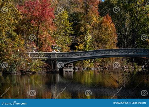 New York City Usa Nov 5 2020 Beautiful Foliage Colors Of Bow