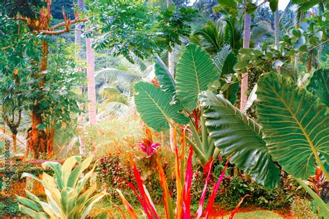Surreal Colors Of Fantasy Tropical Nature Stock Photo Adobe Stock