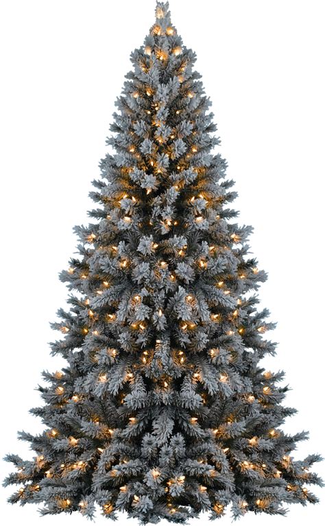Christmas Tree Png Free Download