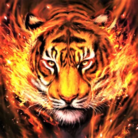 Top 48 imagen imágenes de tigres para fondo de pantalla Thptnganamst