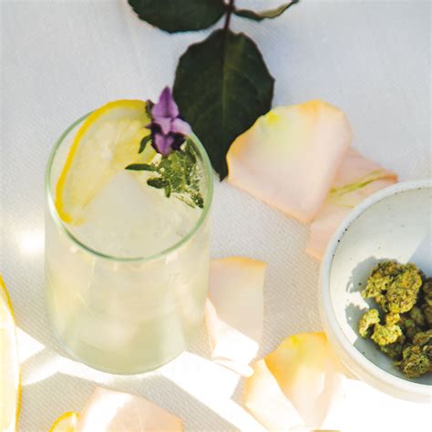Sparkling Lavender And Cannabis Lemonade Kitchen Toke
