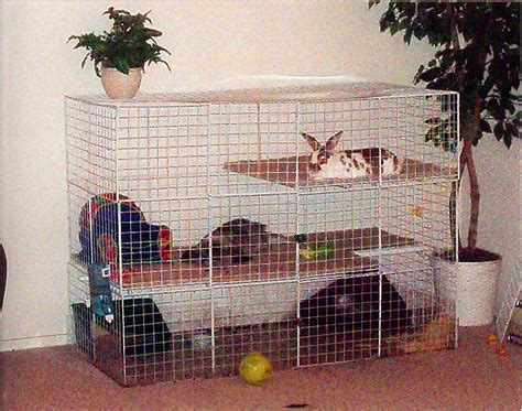 Indoor Rabbit Hutch For Two Rabbits