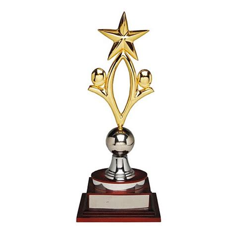 Brass And Wooden Best Performer Star Award Trophy At Rs 480piece In