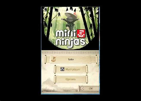 Mini Ninja Nintendo Ds Review Youtube