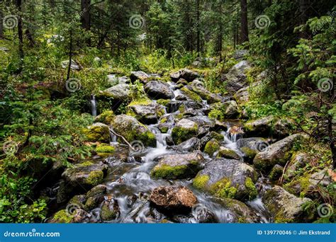 Waterfall And Mossy Boulders In A Lush Green Forest Stock Photo Image