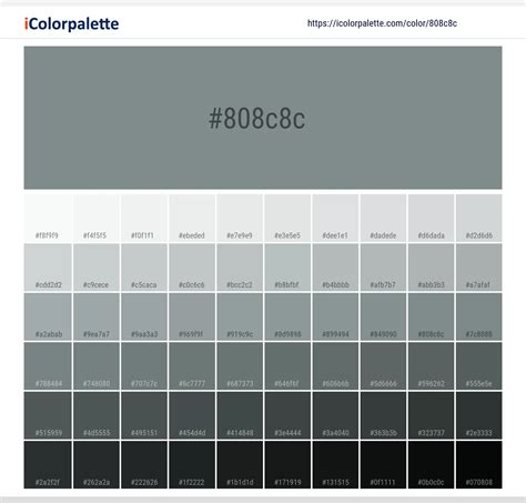Gunmetal Grey Color 808c8c Information Hsl Rgb Pantone