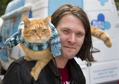 A Street Cat Named Bob To Hit Silver Screen Hackney