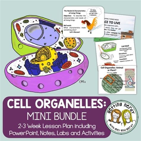 Cell Organelles Structure And Function Powerpoint And Handouts Distance