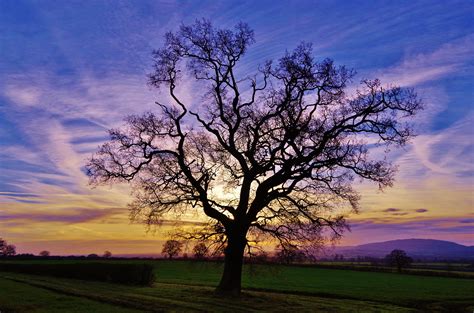 Wallpaper Sunrise Haughmond Hill Shropshire Sky Clouds Light