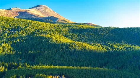 Beautiful Green Trees Hills Mountains In Blue Sky Background 4k Hd