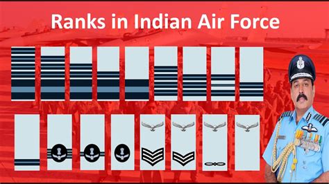 Indian Air Force Ranks And Insignia Ranks In Indian Air Force