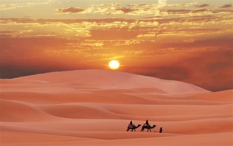 Sahara Desert Morocco Berber Sunset Camel Sand Wallpaper 1920x1200