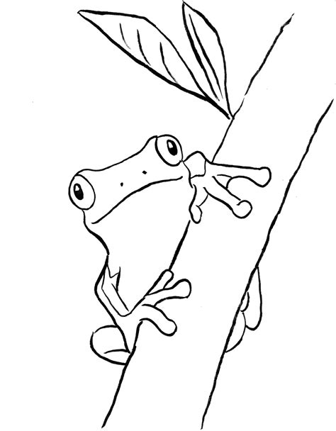 Tree Frog Coloring Page Art Starts