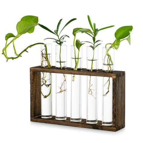 Tabletop Hanging Glass Planter Propagation Station Modern 5 Test Tube Flower Bud Vase In Wood
