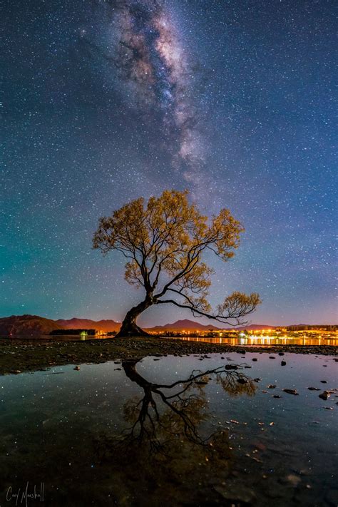 New Zealand Nights Milky Way Above The Famous Tree In Wanaka
