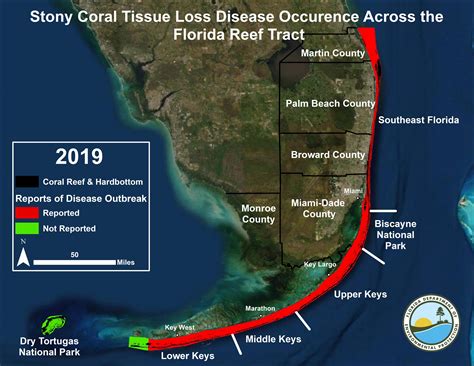 florida reef tract map nicole dantonio stony coral tissue loss disease 9 18 2019 florida