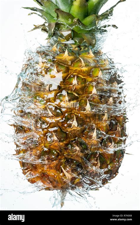 Pineapple Water Splash On White Baclground Stock Photo Alamy